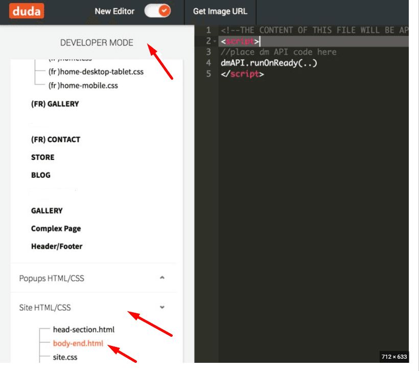Screenshot showing how and where to paste the code